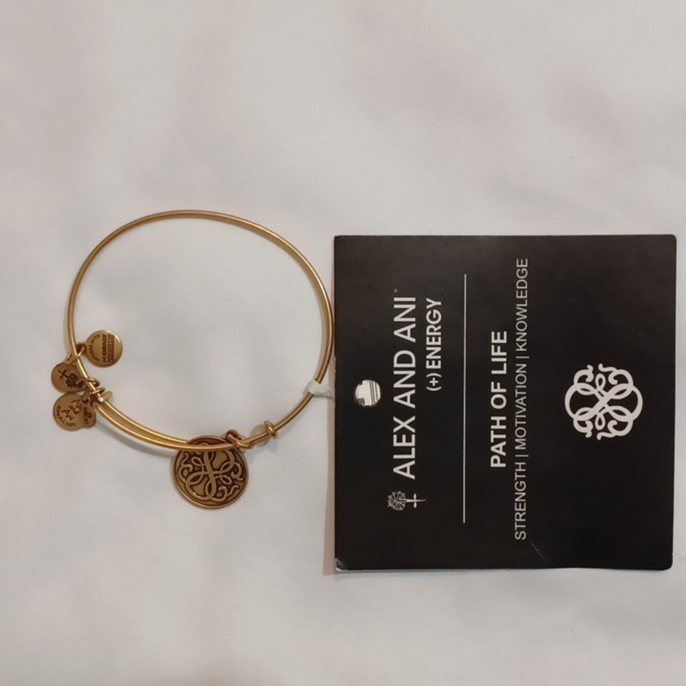 Alex and Ani charm bracelet
